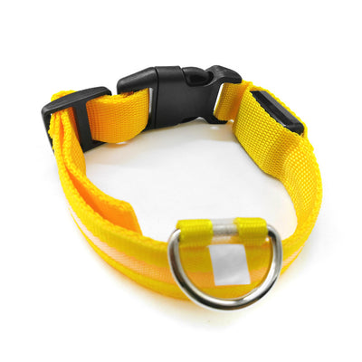 Collar Luminoso Antiextravío para Perros con Placa de Identificación - Image 11