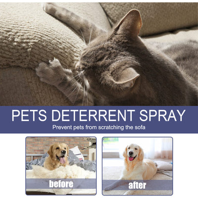 Spray Repelente Anti-arañazos para Perros y Gatos - Protege Puertas y Muebles - Image 13