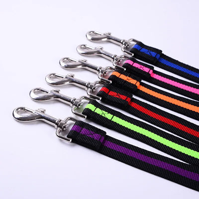 Correa Elástica de Tracción para Perros Outdoor - Image 3