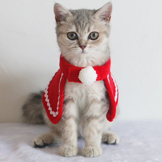 Pañoleta Térmica para Mascotas y Accesorios de Invierno - Image 26