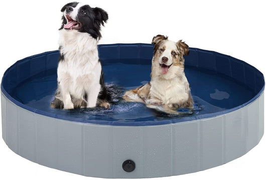 Piscina Plegable para Mascotas con Placa Antideslizante Reforzada - Image 6