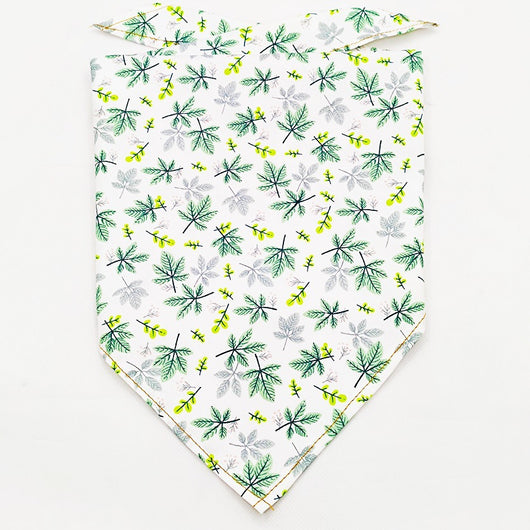 Pañuelo Bandana Absorbente para Mascotas con Diseño Frutal - Image 70