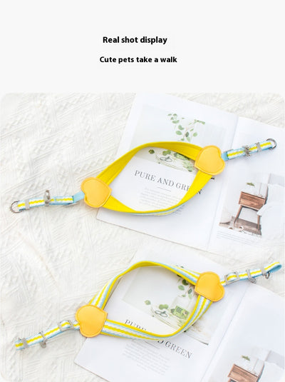 Arnés de Pecho con Correa para Pasear Perros - Control Seguro y Cómodo - Image 24