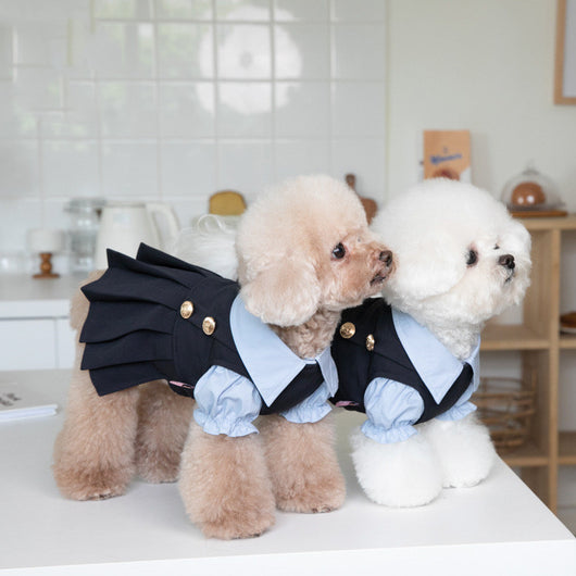 Ropa Abrigadora Adorable para Perros Pequeños - Image 10