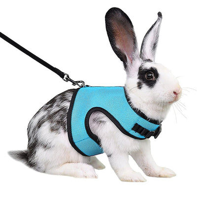 Light gray mesh pet harness with black trim and matching leash on a black and white rabbit. - Image 9