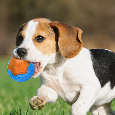 Yellow and green textured dog toy ball made from TPR, designed for chewing and interactive play.