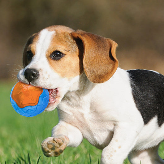 Yellow and green textured dog toy ball made from TPR, designed for chewing and interactive play.