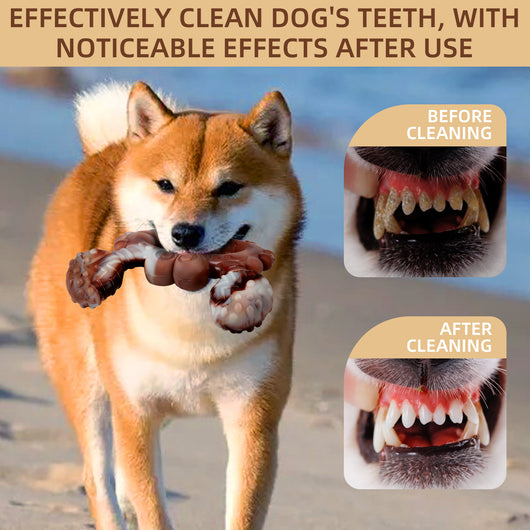Juguete Resistente de Nylon para Perros - Diversión Duradera - Image 43