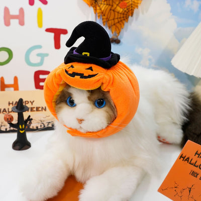Disfraz de Calabaza para Perros y Gatos - Arnés Festivo para Mascotas Pequeñas - Image 7