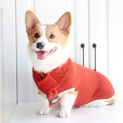Suéter para Perro Vintage Chic - Abrigo Cálido y Elegante - Image 4