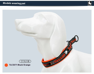 Collar Ajustable para Perro Truelove con Tela de Buceo Reflectante - Image 10