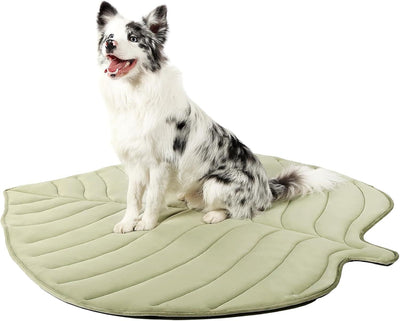 Tapete Refrescante para Gatos Diseño Hoja de Ginkgo - Image 10