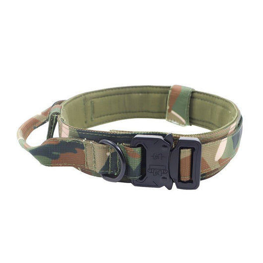 Collar Táctico Personalizado para Perros - Image 9
