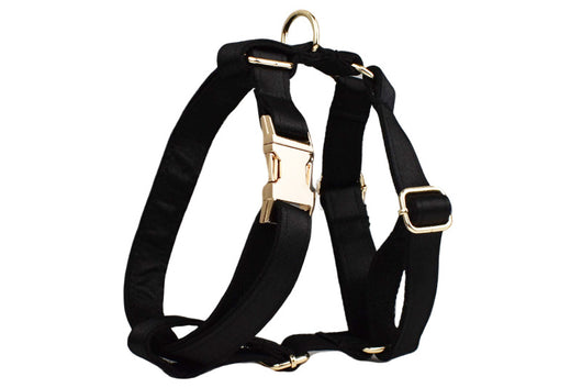 Arnés de Tracción con Cuerda para Perros - Image 16