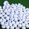 Pelota de Golf PGM de 2 Capas - Rendimiento Profesional