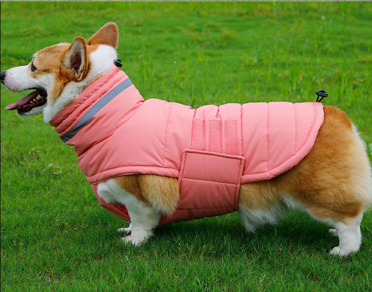 Abrigo Impermeable para Perros Grandes - Trinchera Térmica Corgi y Razas Medianas - Image 16