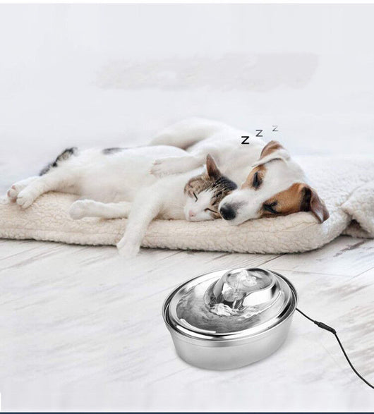 Fuente de Agua para Mascotas con Filtración y Circulación Continua - Image 5