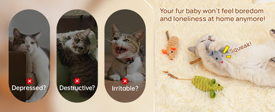 Juguetes Interactivos para Gatos con Catnip y Sonidos de Ratón - Image 15