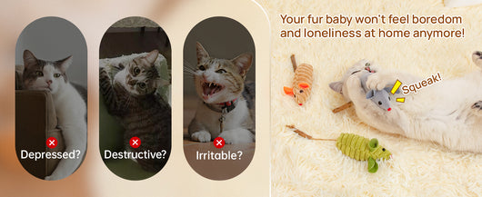 Juguetes Interactivos para Gatos con Catnip y Sonidos de Ratón - Image 15