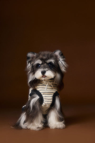 Suéter Tejido sin Mangas para Perros Pequeños Bichón Maltés York - Image 26