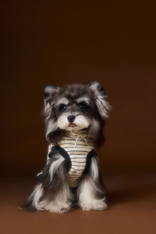 Suéter Tejido sin Mangas para Perros Pequeños Bichón Maltés York - Image 26