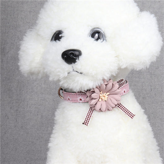 Collar para Mascotas con Flores - Diseño Adorable para Perros y Gatos - Image 8