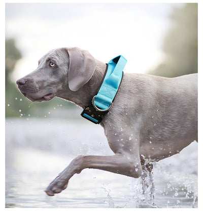 Collar Táctico Antiexplosión para Perros - Image 21