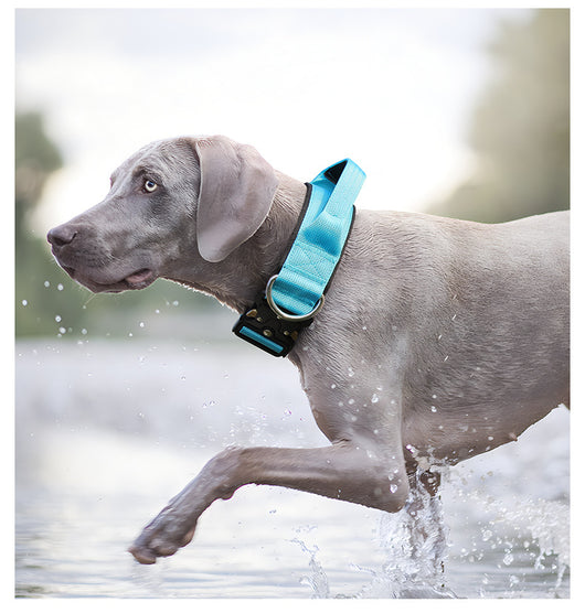 Collar Táctico Antiexplosión para Perros - Image 21