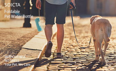 Botella Dispensadora de Agua Portátil para Perros - Todo Tamaño - Image 21