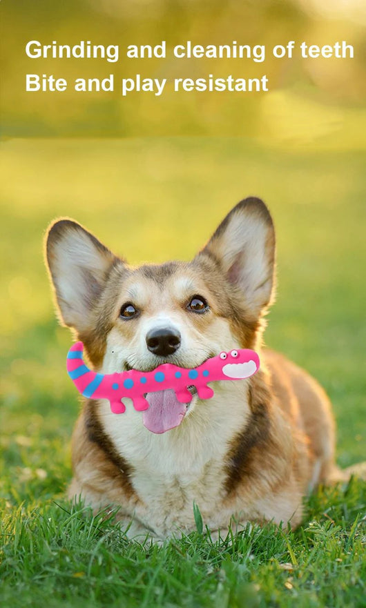 Juguete Masticable Lagartija de Látex con Sonido Chirriante para Perros Pequeños y Medianos - Image 14