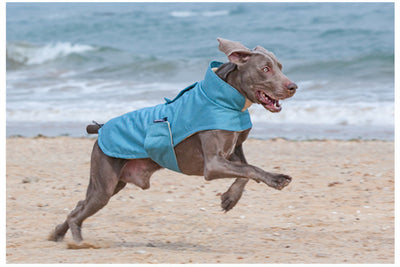 Chaleco Térmico para Perros Medianos y Grandes - Resistente al Agua y Lavable - Image 13