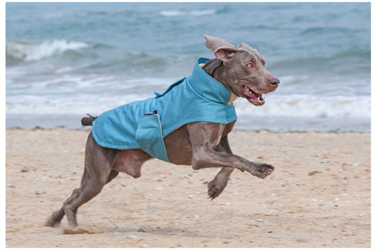 Chaleco Térmico para Perros Medianos y Grandes - Resistente al Agua y Lavable - Image 13