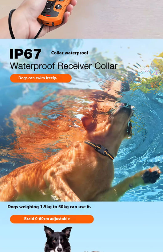 Collar Adiestramiento Canino Resistente al Agua con Control Remoto - Image 10