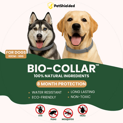 Collar Antiparasitario Ajustable para Perros y Gatos - Image 17