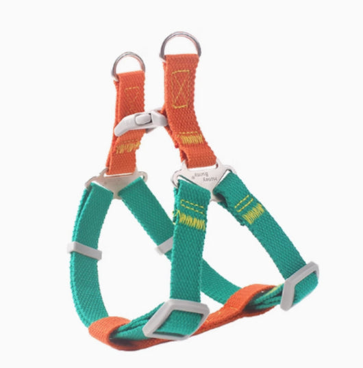 Arnés de Tracción con Diseño Bicolor para Perros - Image 2