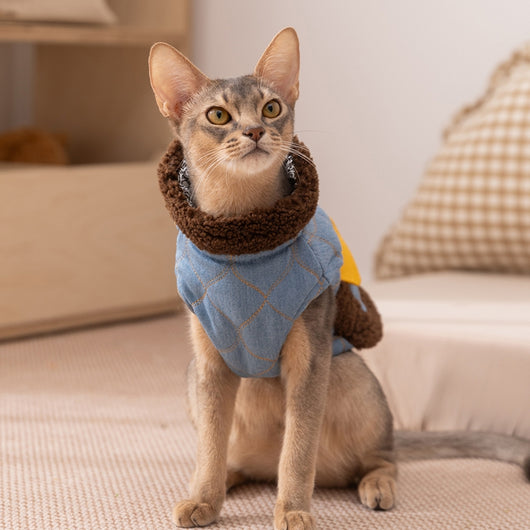 Ropa Térmica para Mascotas: Abrigos y Chalecos Acolchados para Gatos y Perros - Image 16