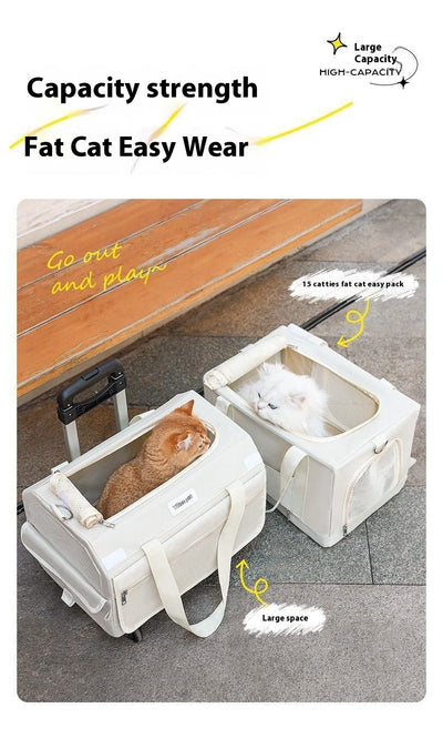 Mochila de Transporte para Gatos con Control de Estrés - Image 22