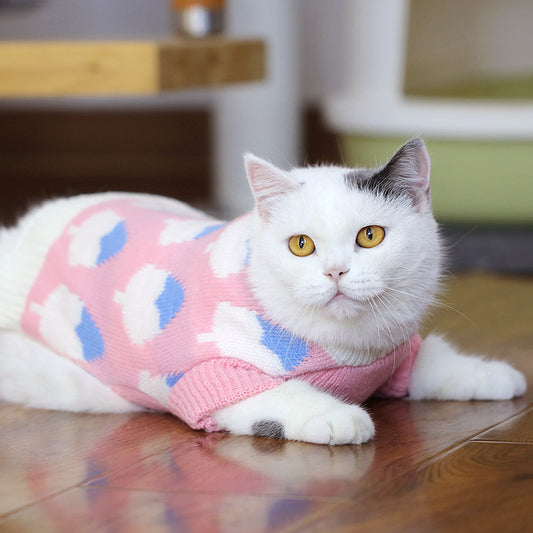 Suéter Gato Azul Británico para Otoño e Invierno