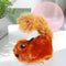 Little Squirrel