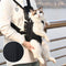 Mochila Transportadora para Cães Pequenos - Canguru Respirável para Animais de Estimação
