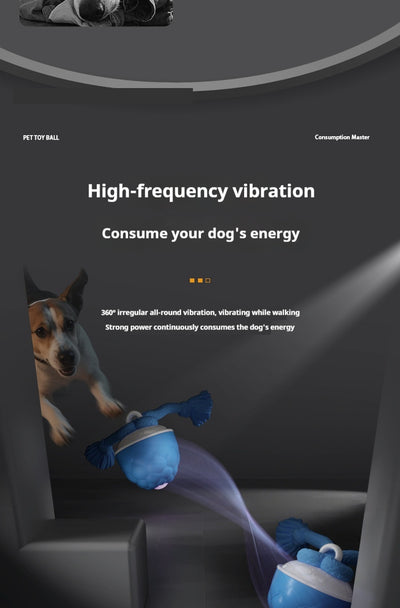 Pelota Interactiva Resistente para Perros con Sonido y Textura Masticable - Image 12