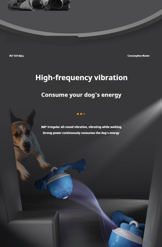 Pelota Interactiva Resistente para Perros con Sonido y Textura Masticable - Image 12