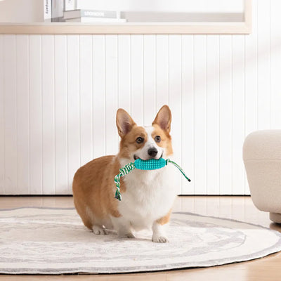 Juguete Masticable Dental para Cachorros - Limpieza de Dientes e Interactivo - Image 9