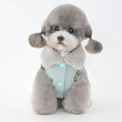 Abrigo Térmico para Mascotas - Protección Invernal Completa - Image 16