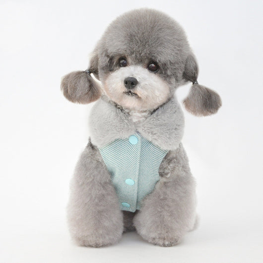 Abrigo Térmico para Mascotas - Protección Invernal Completa - Image 16