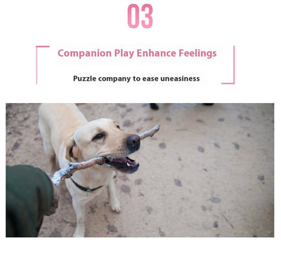 Juguete Mordedor para Perro con Cuerda y Dispensador de Premios - Mango - Image 15