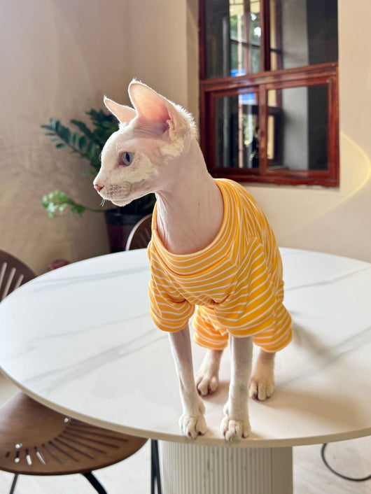Ropa Transpirable para Gatos - Diseño Ligero y Fresco - Image 13