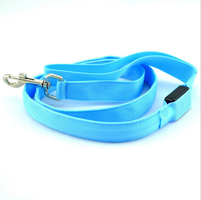 Correa LED Luminosa para Perros - Paseos Seguros de Noche - Image 21