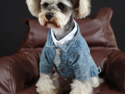 Camisa Denim Primavera Verano para Mascotas - Image 10