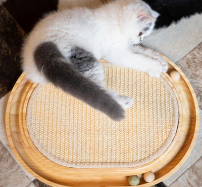 Juguete de Madera Maciza para Gatos Activos - Image 6